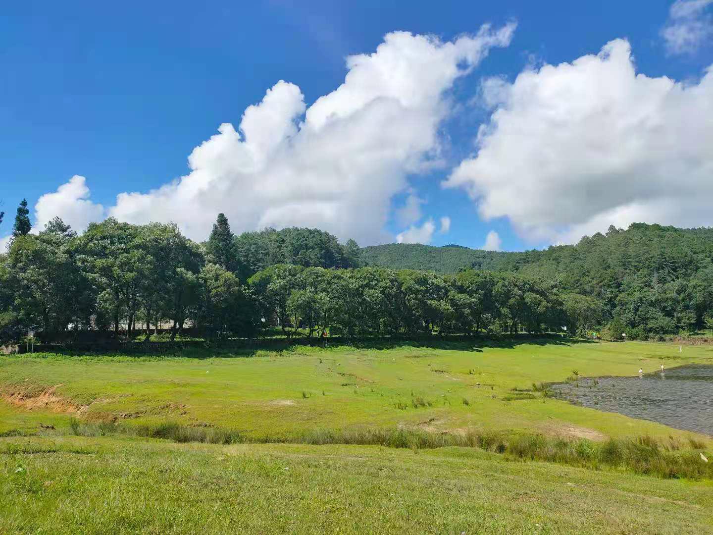 /lanyaWeb/lincangnews/upload/image/20210920/1632118570888827.jpg 双江自治县大浪坝森林公园_极速看图.jpg
