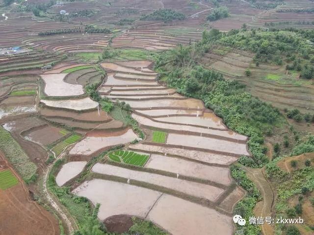 /lanyaWeb/lincangnews/upload/image/20220624/1656042545453994.jpg 134.jpg