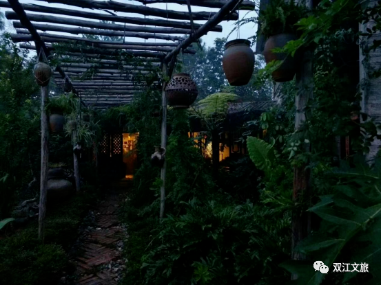 /lanyaWeb/lincangnews/upload/image/20220718/1658129805779209.png 8.png