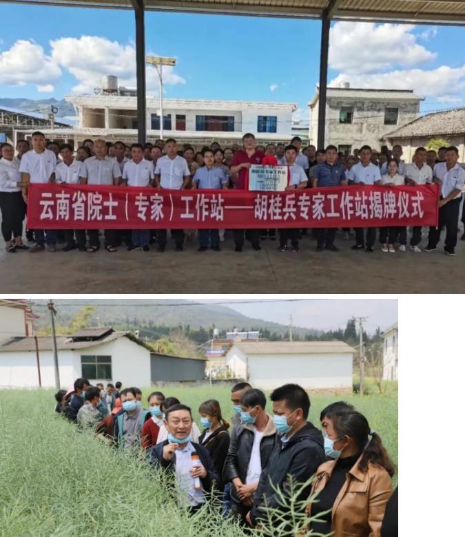 /lanyaWeb/lincangnews/upload/image/20220922/1663812144304517.jpg 360截图20220922100136322.jpg