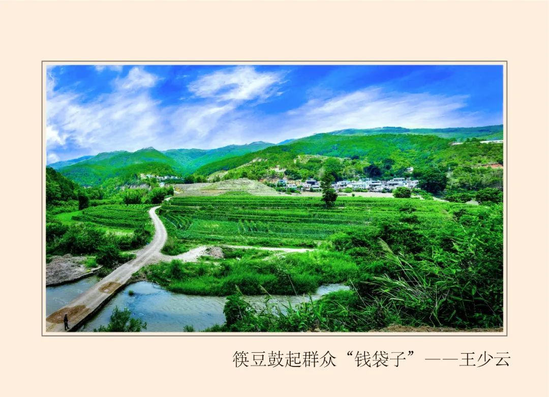 /lanyaWeb/lincangnews/upload/image/20221025/1666668019662719.jpg 77eac6e5960248f6aa29b36bfbab1f4f.jpg