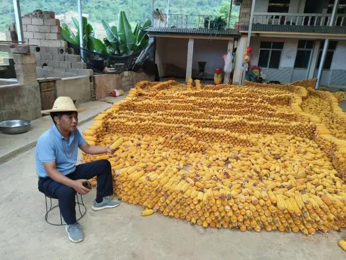 1723602972941600.jpg 360截图20240814103546262.jpg