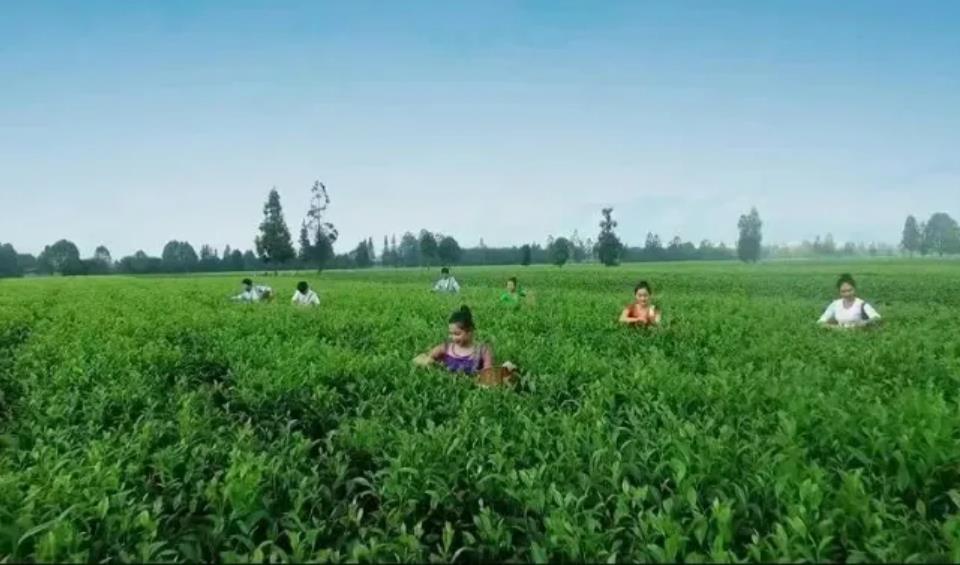 360截图20240907171740171.jpg