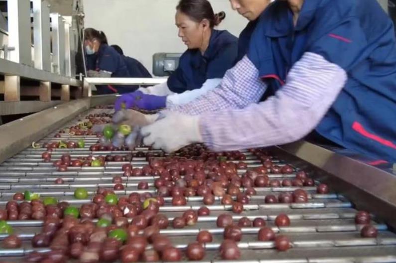 1730341803936433.jpg 360截图20241031102847197.jpg