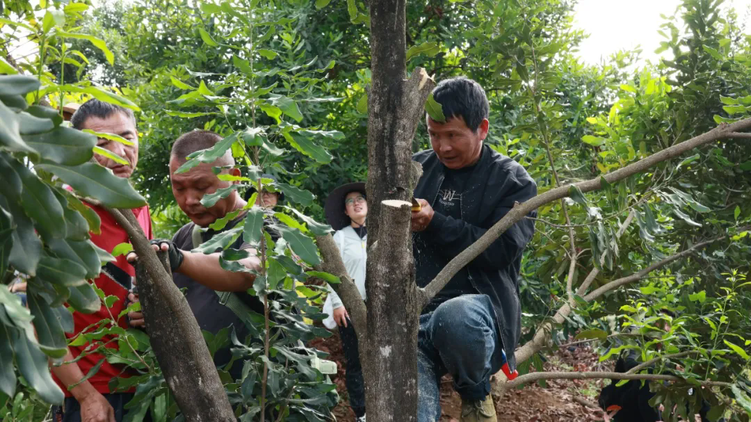 1731397668431950.png 6.webp (1).png