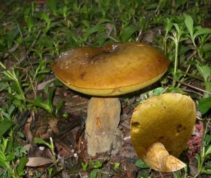 55.jpg