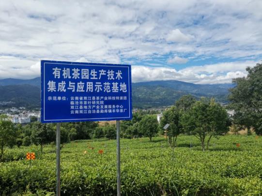 360截图20250617102141430.jpg